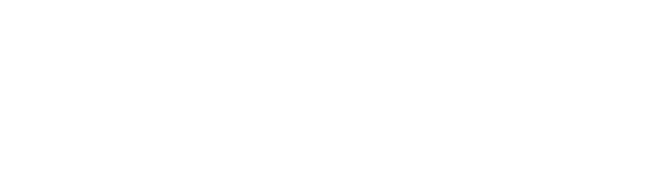 serpfinity logo fullwhite